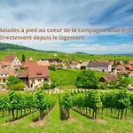 Le Dom wakacyjny Ittenheim