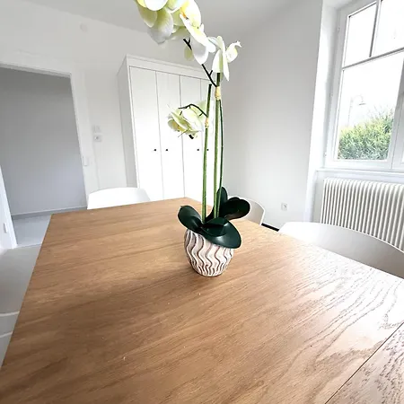 Dom wakacyjny Le Ittenheim