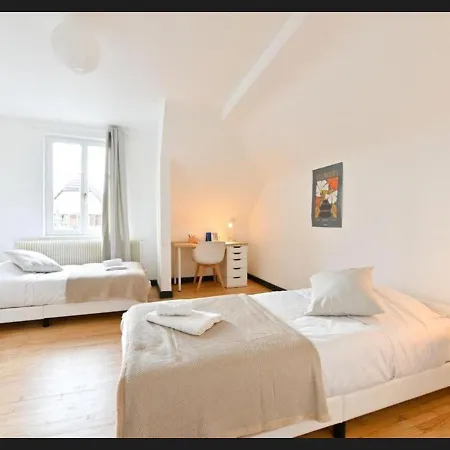 Semesterbostad Le Grande Maison & Terrasse Pres De Strasbourg